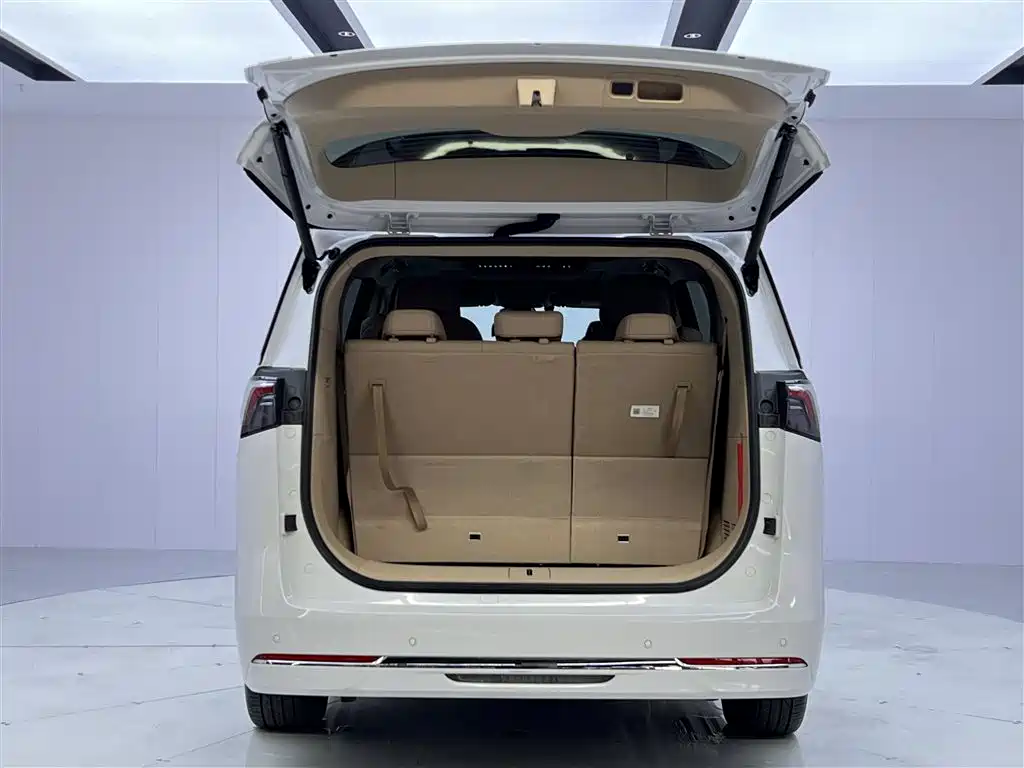 Buick GL8 Hybrid 2025 — фото 13