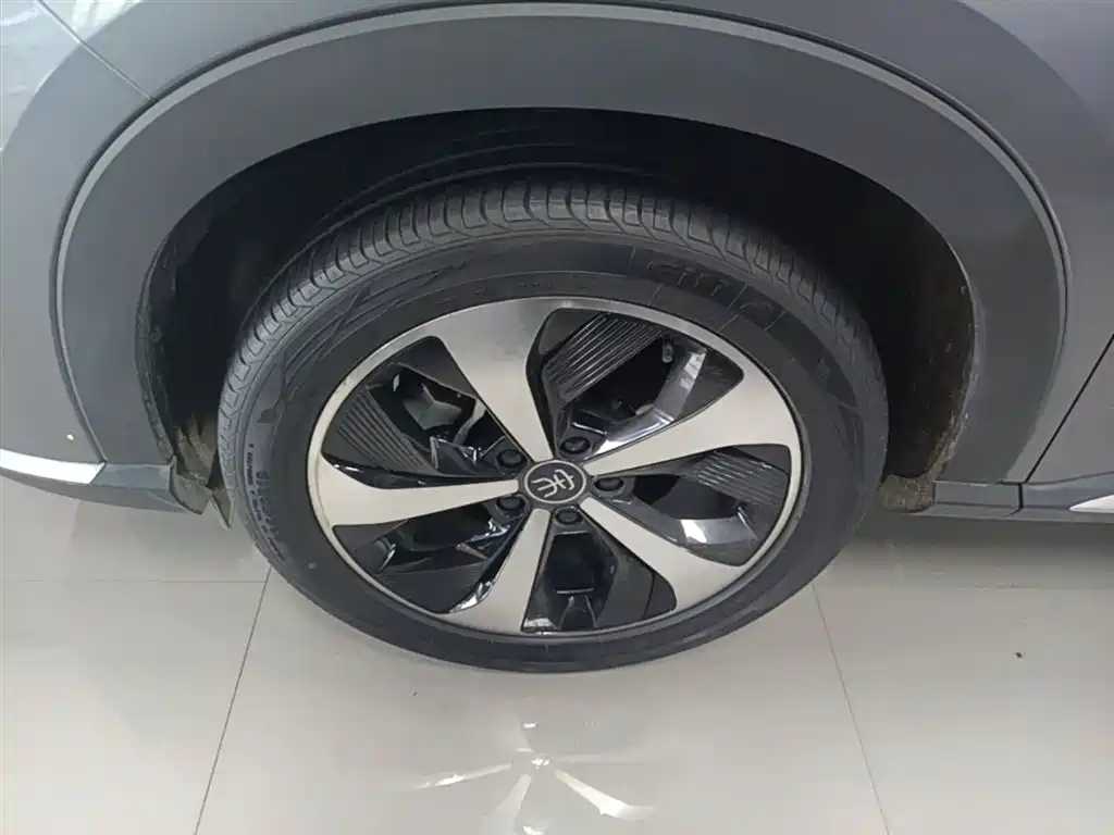 BYD PLUS New Energy 2022 — фото 23