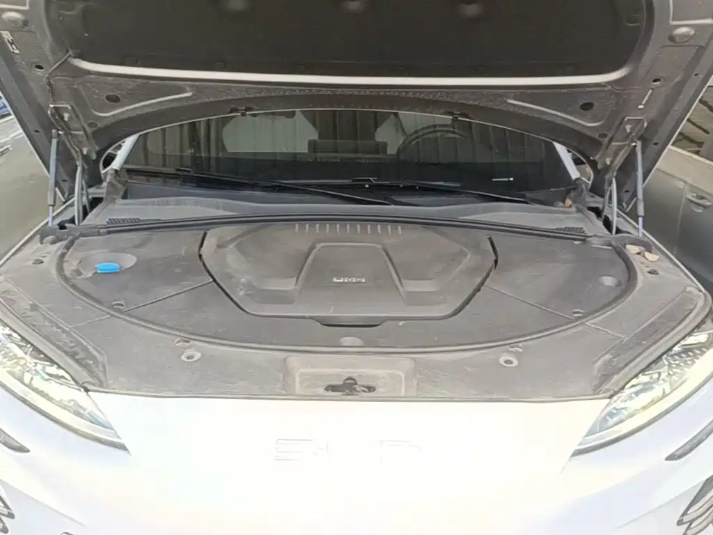 BYD Song PLUS New Energy 2024 — фото 20