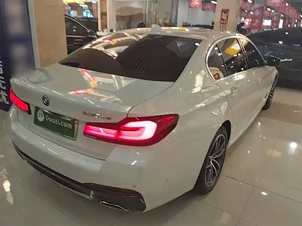BMW 5 Series New Energy 2022