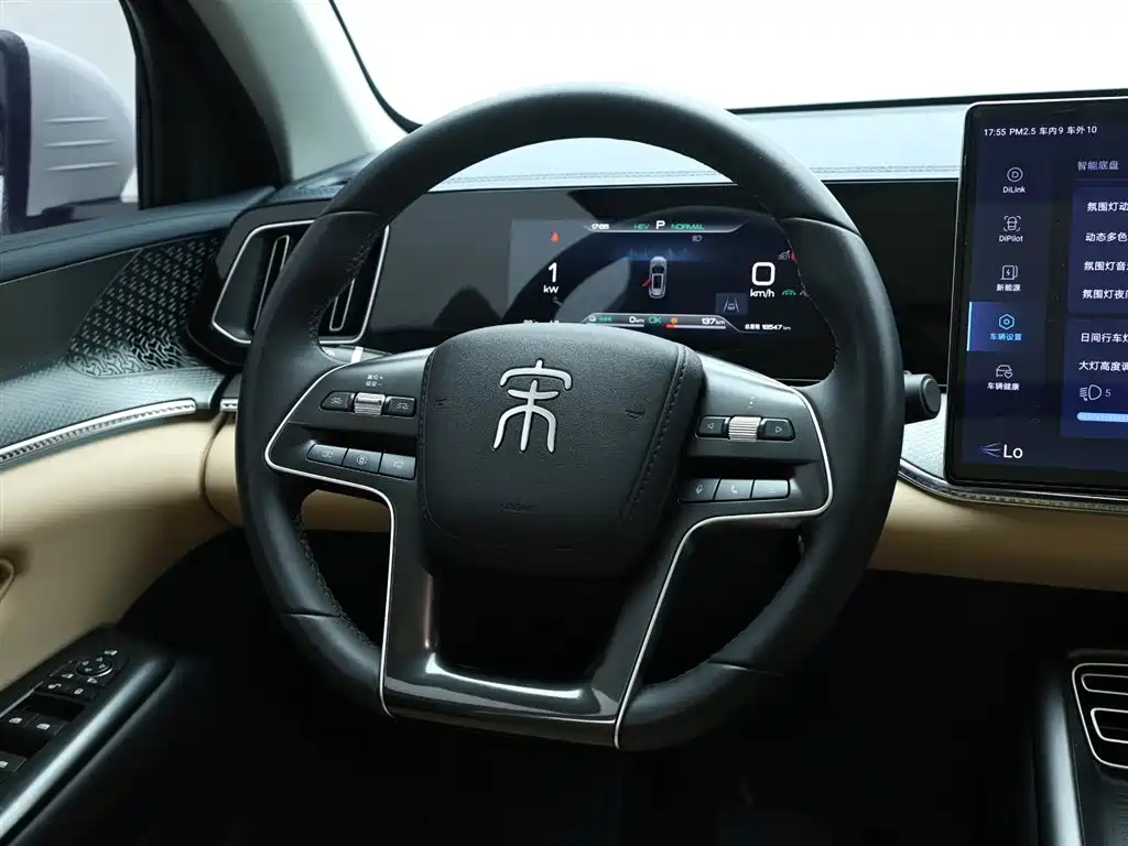 BYD Pro New Energy 2024 — фото 15