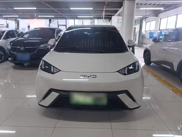 BYD Seagull 2024