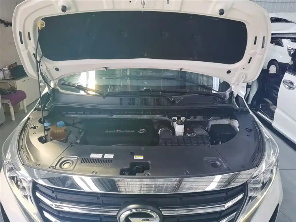 GAC Motor Trumpchi M8 2021 — фото 20