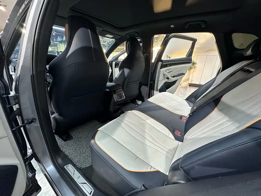 BYD PLUS New Energy 2022 — фото 10