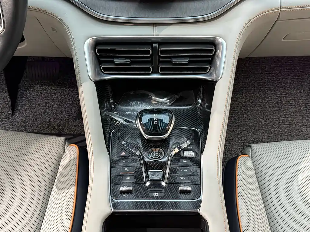 BYD PLUS New Energy 2022 — фото 15