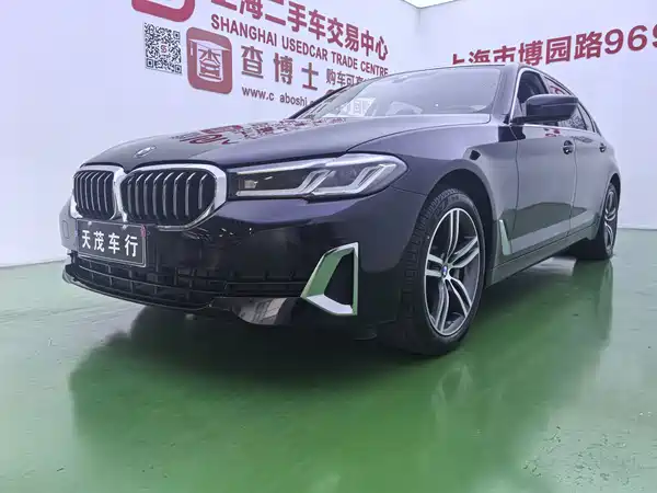 BMW 5 Series 2021