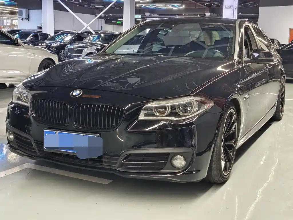 BMW 5 Series 2015