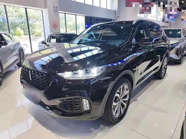 Wey VV6 2019