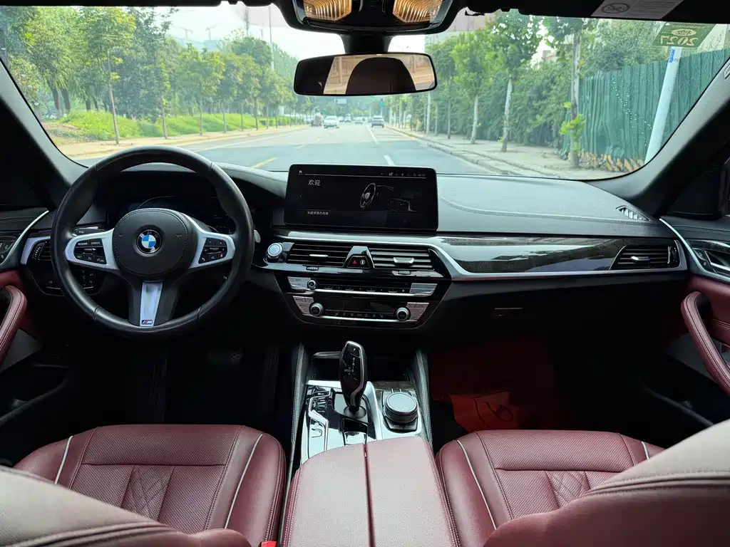 BMW 5 Series New Energy 2021