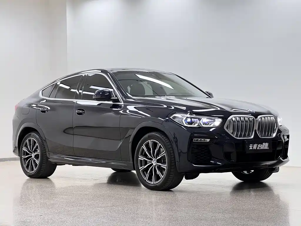 BMW X6 2021 — фото 3