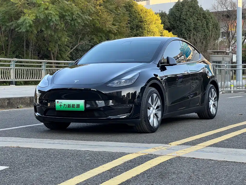 Tesla Model Y 2021 — фото 1