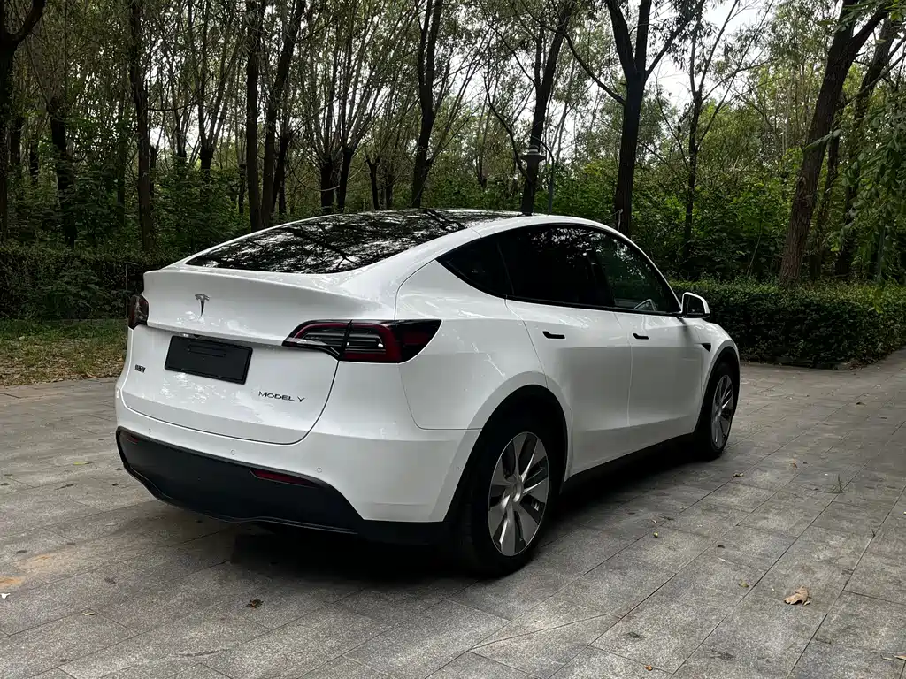 Tesla Model Y 2022 — фото 6