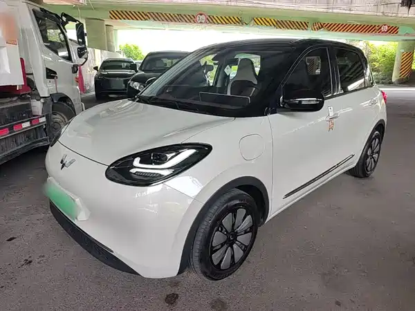 Wuling Bingo 2024