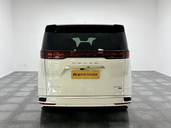 Denza D9 2025