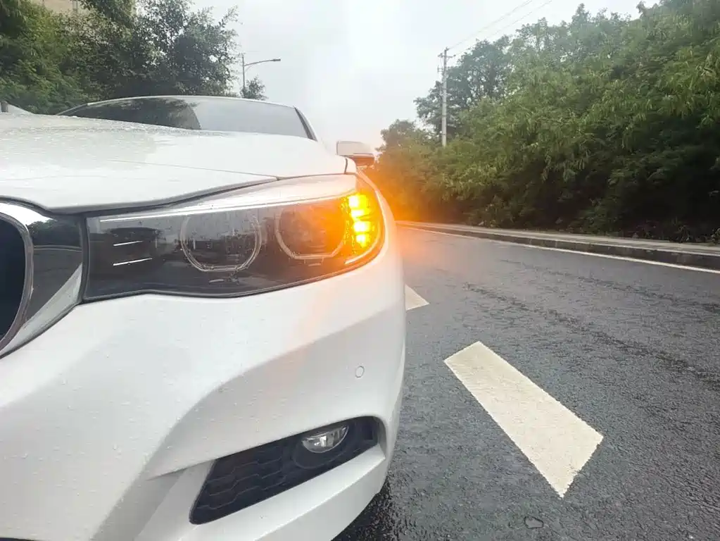 BMW 3 Series GT 2019 — фото 11