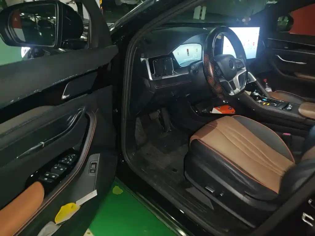 BYD Song PLUS New Energy 2022 — фото 14
