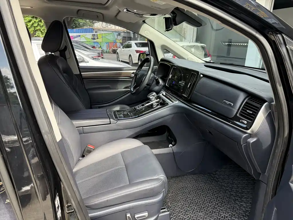 GAC Trumpchi M8 2021 — фото 11