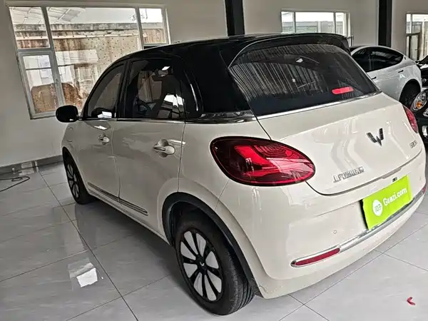 Wuling Bingo 2024
