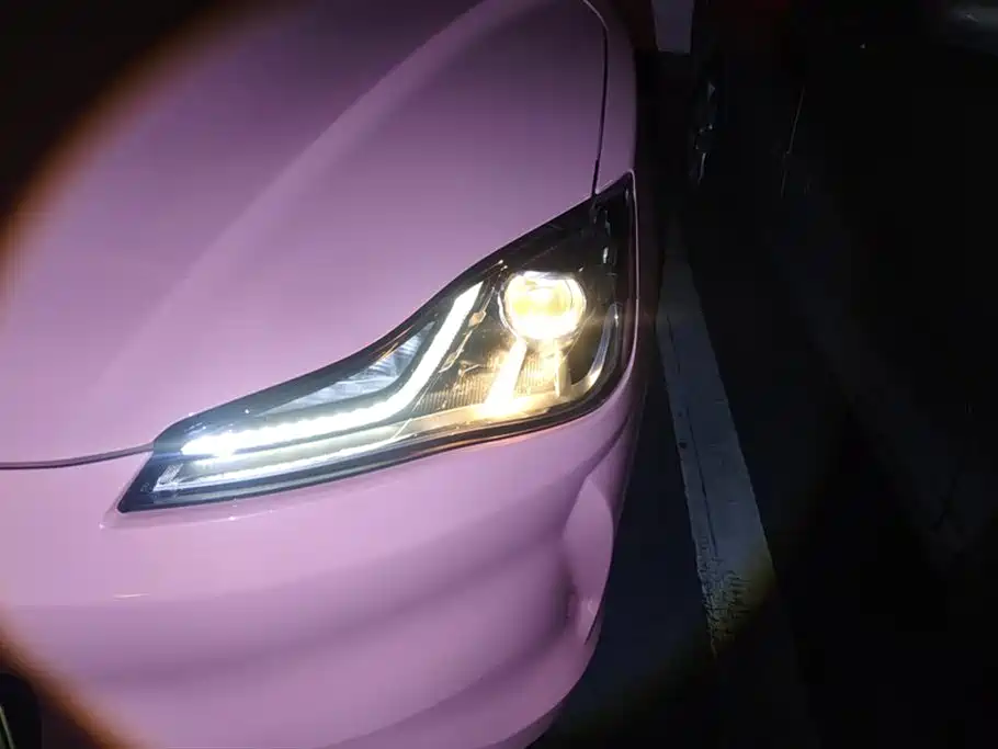 Neta V 2022