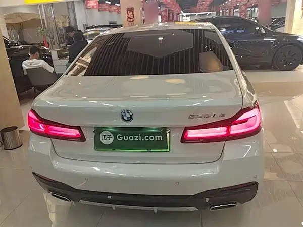 BMW 5 Series New Energy 2022