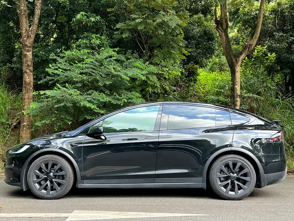 Tesla Model X 2023 — фото 2