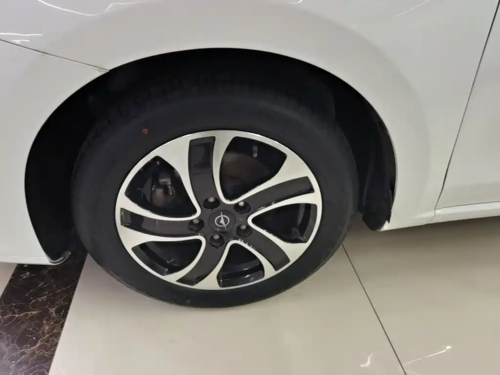 Haima Vanda Electric 2016 — фото 23