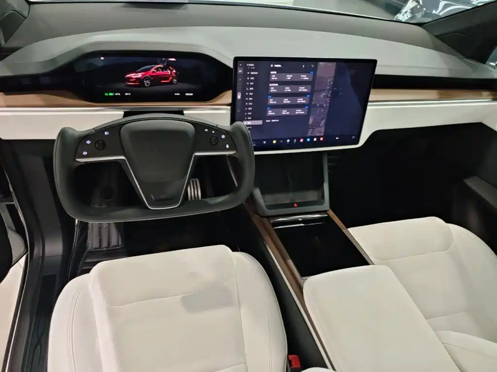Tesla Model X 2023 — фото 10