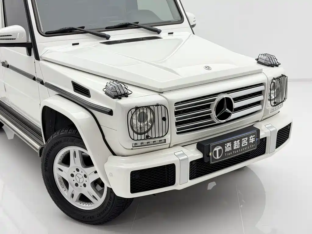 Mercedes-Benz G-Class 2018 — фото 15