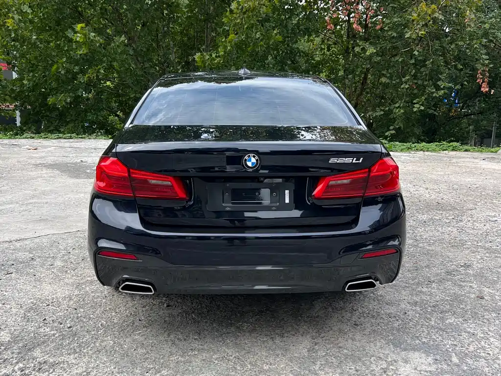 BMW 5 Series 2018 — фото 11