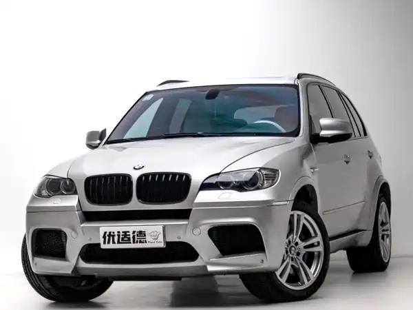 BMW X5 M 2010