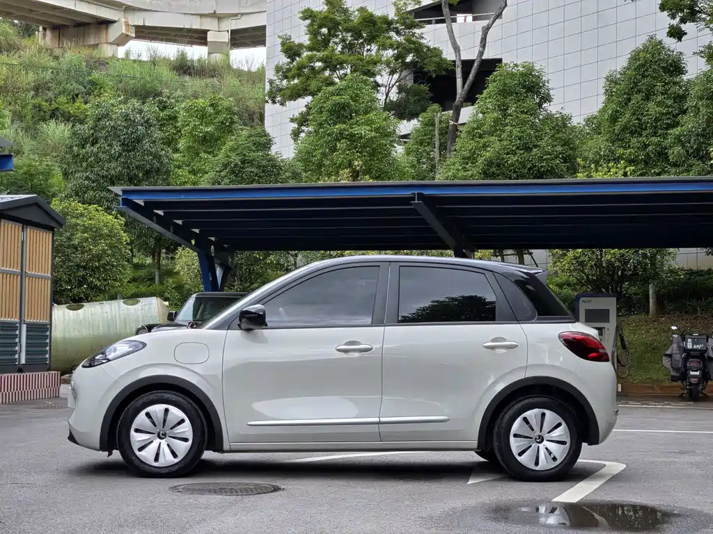 Wuling Bingo 2024