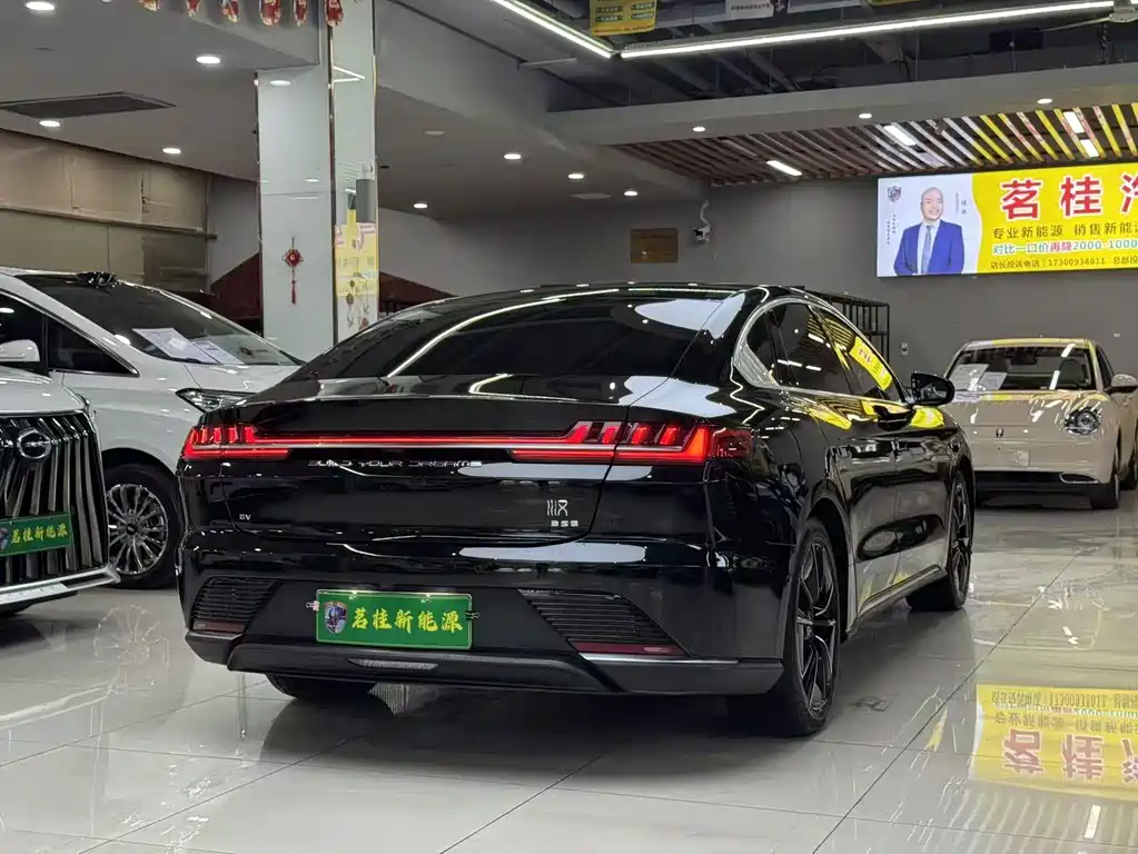 BYD Han 2020 — фото 15