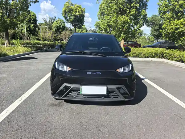 BYD Seagull 2023