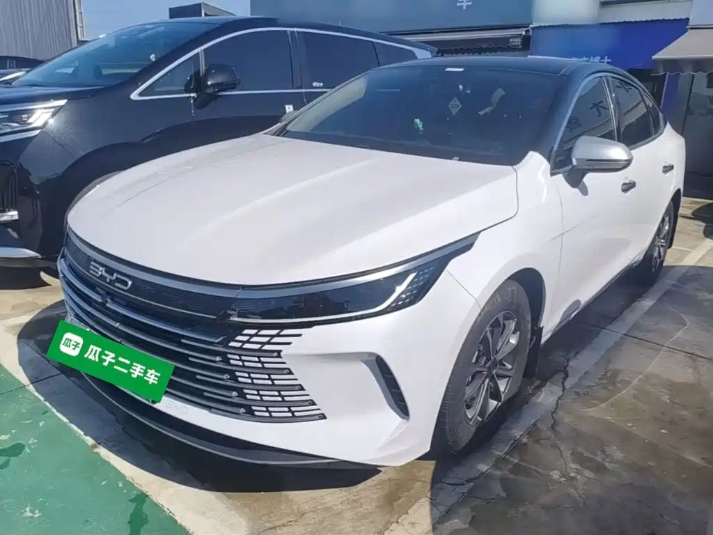BYD Destroyer 05 2024 — фото 2