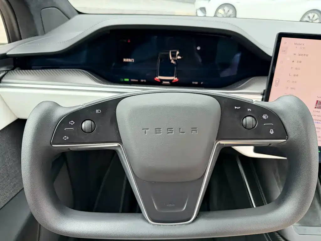 Tesla Model X 2023 — фото 13