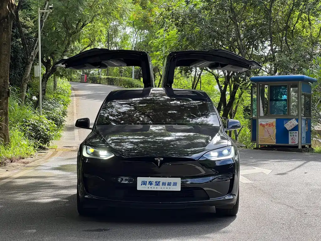Tesla Model X 2023 — фото 4