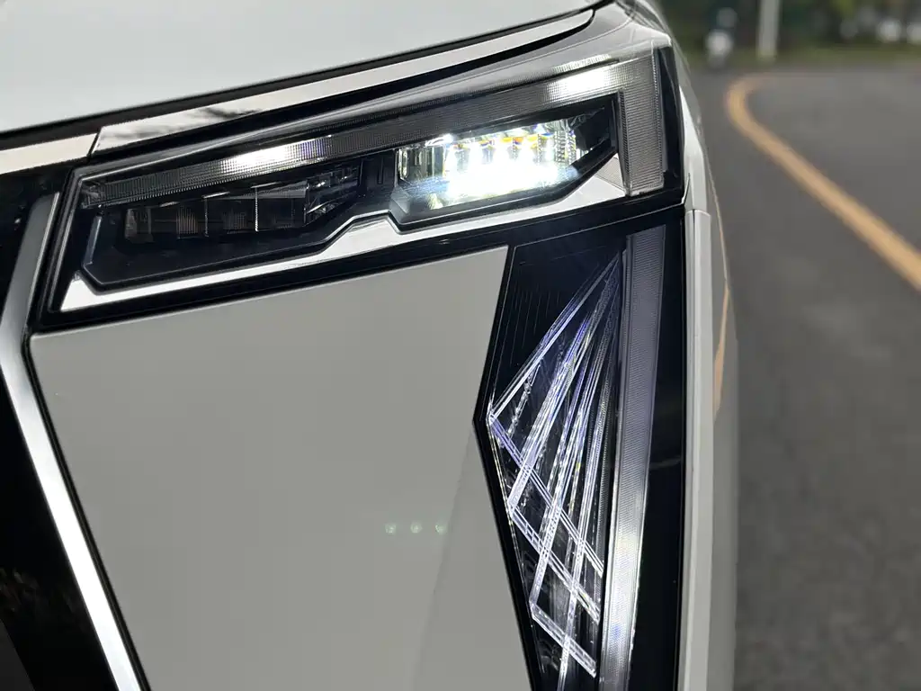 GAC Motor Trumpchi E9 2023 — фото 13