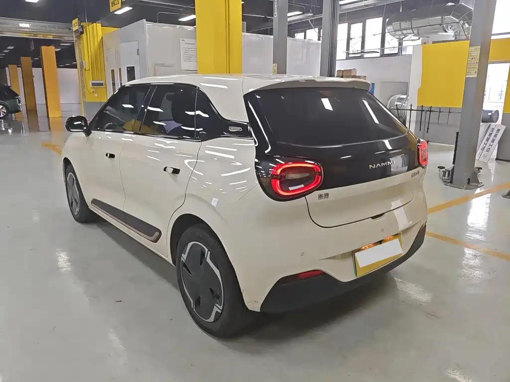 Dongfeng Nano 01 2025