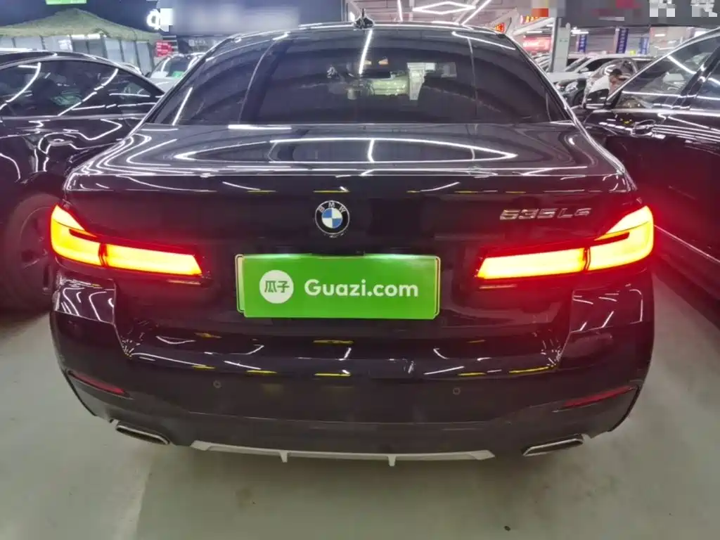 BMW 5 Series New Energy 2021