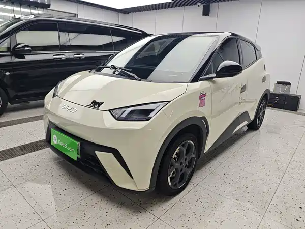 BYD Seagull 2024