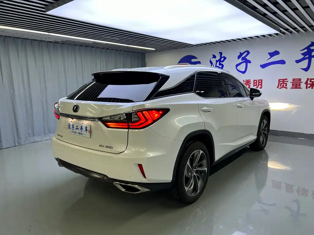 Lexus RX 2019 — фото 18