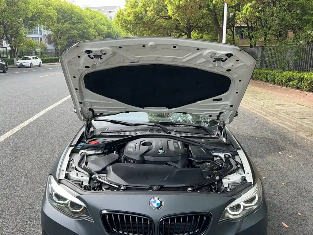 BMW 2 Series 2020 — фото 21