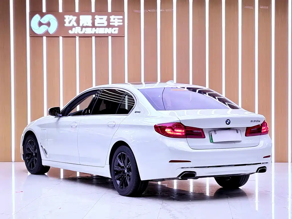 BMW 5 Series New Energy 2018 — фото 18