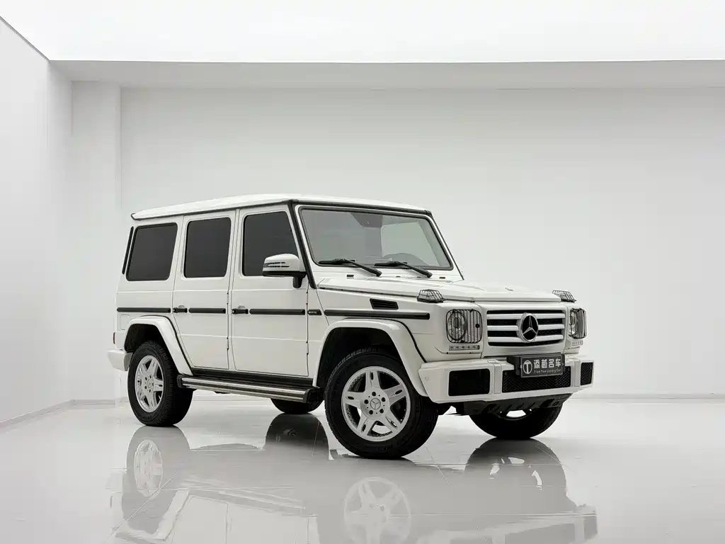 Mercedes-Benz G-Class 2018 — фото 3