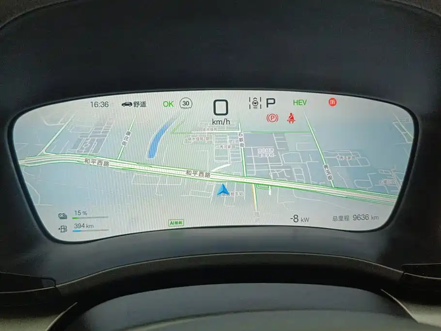BYD Song PLUS New Energy 2025 — фото 14