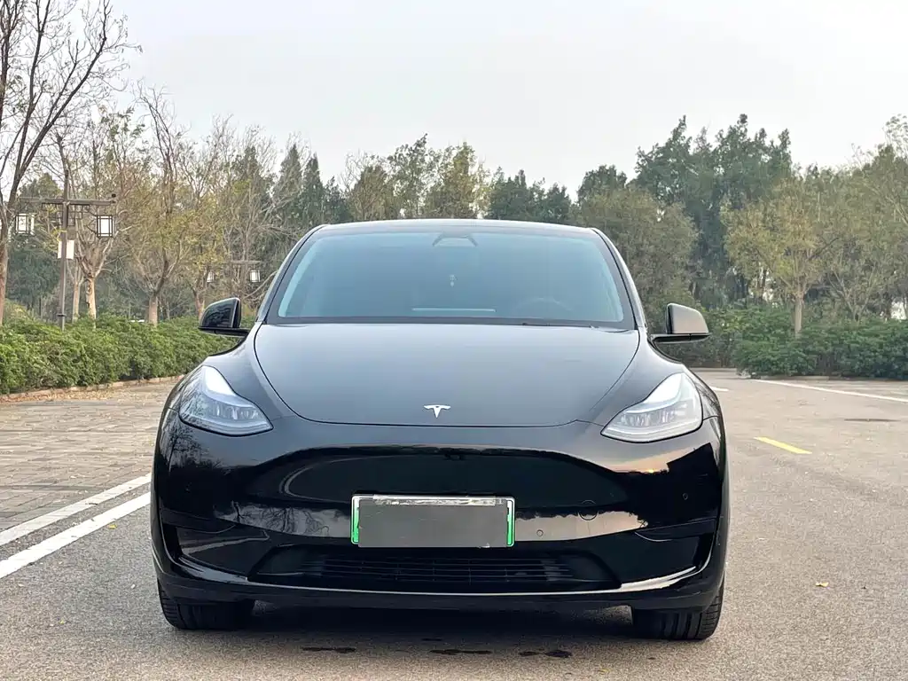 Tesla Model Y 2023 — фото 2