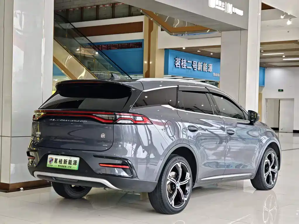 BYD Tang New Energy 2022 — фото 13