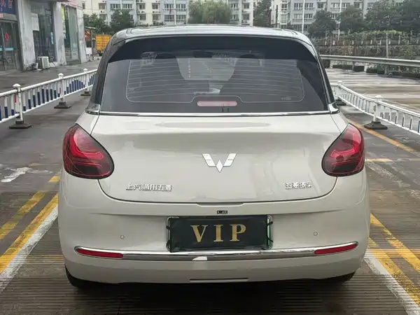 Wuling Bingo 2024