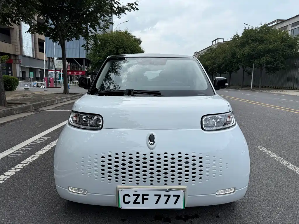 Ora White Cat 2021