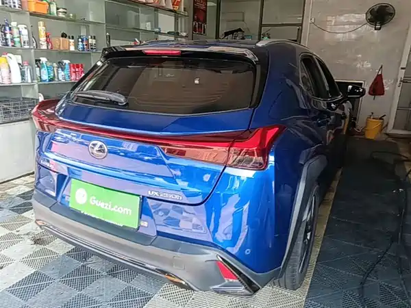 Lexus UX 2019